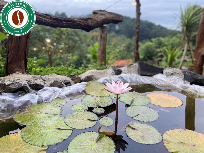 Chính sách thanh toán