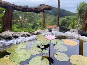 Chính sách thanh toán